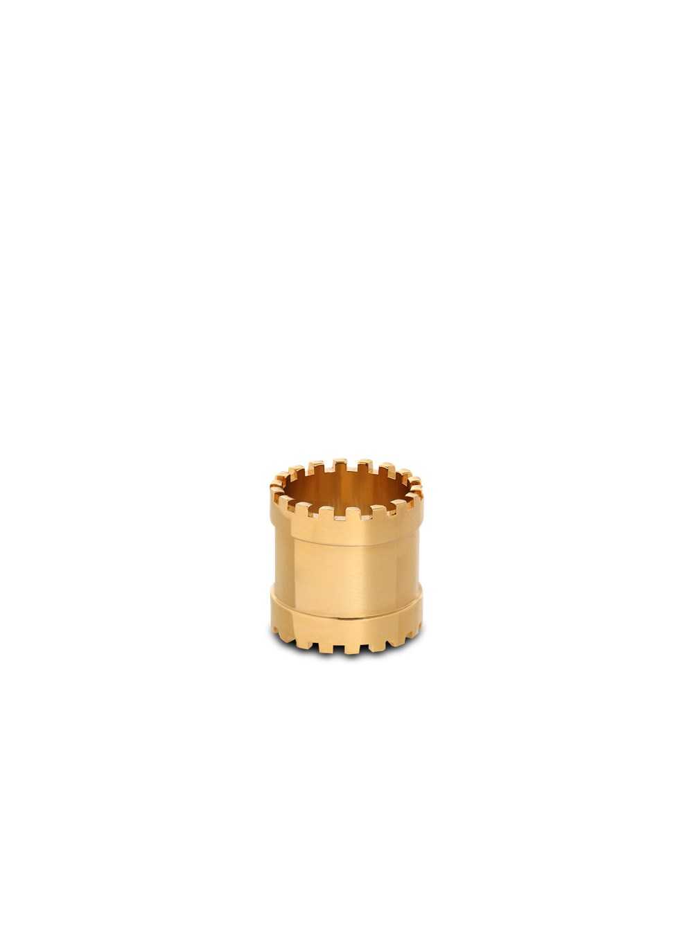 Balmain Brass Zip Ring Gold | OQYBGKU-40