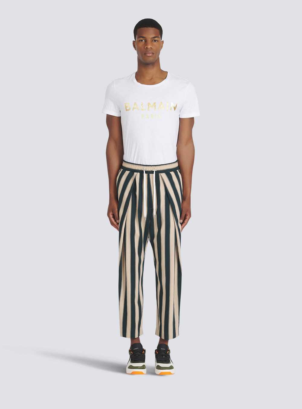 Balmain Striped Eco-designed Cotton Pleated Pants Multicolor | UDOJBVZ-97